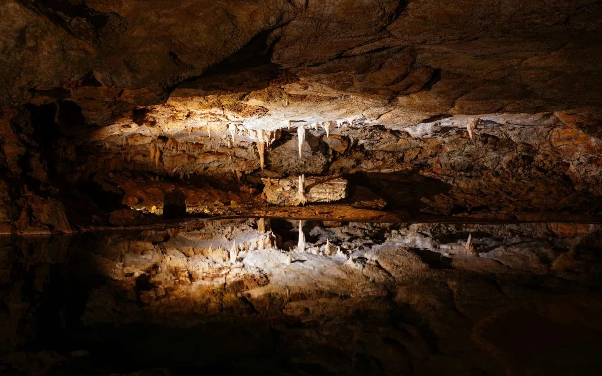 Cette stalagmite vieille de 18 000 ans force les scientifiques à réécrire toute l'histoire de l'agriculture