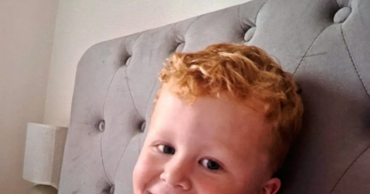 Royaume-Uni. Corps retrouvé, autisme, jeux, étang... Ce que l'on sait de la disparition de Noah Woods, 3 ans
