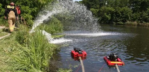 Vier Tonnen tote Fische – Polen kämpft gegen giftige Goldalge in Oder-Nebengewässer