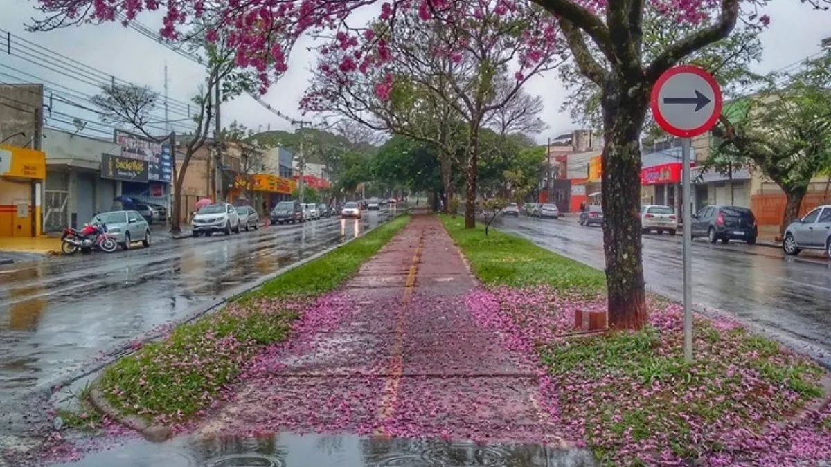 El Niño, ciclones e deslizamentos: o que a Defesa Civil diz sobre as expectativas para a primavera
