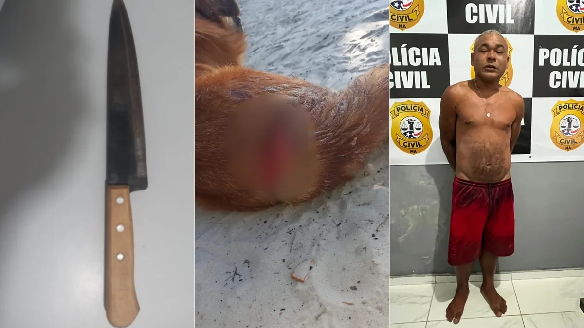 Homem condenado por esfaquear cães e ameaçar tutores é preso em Axixá