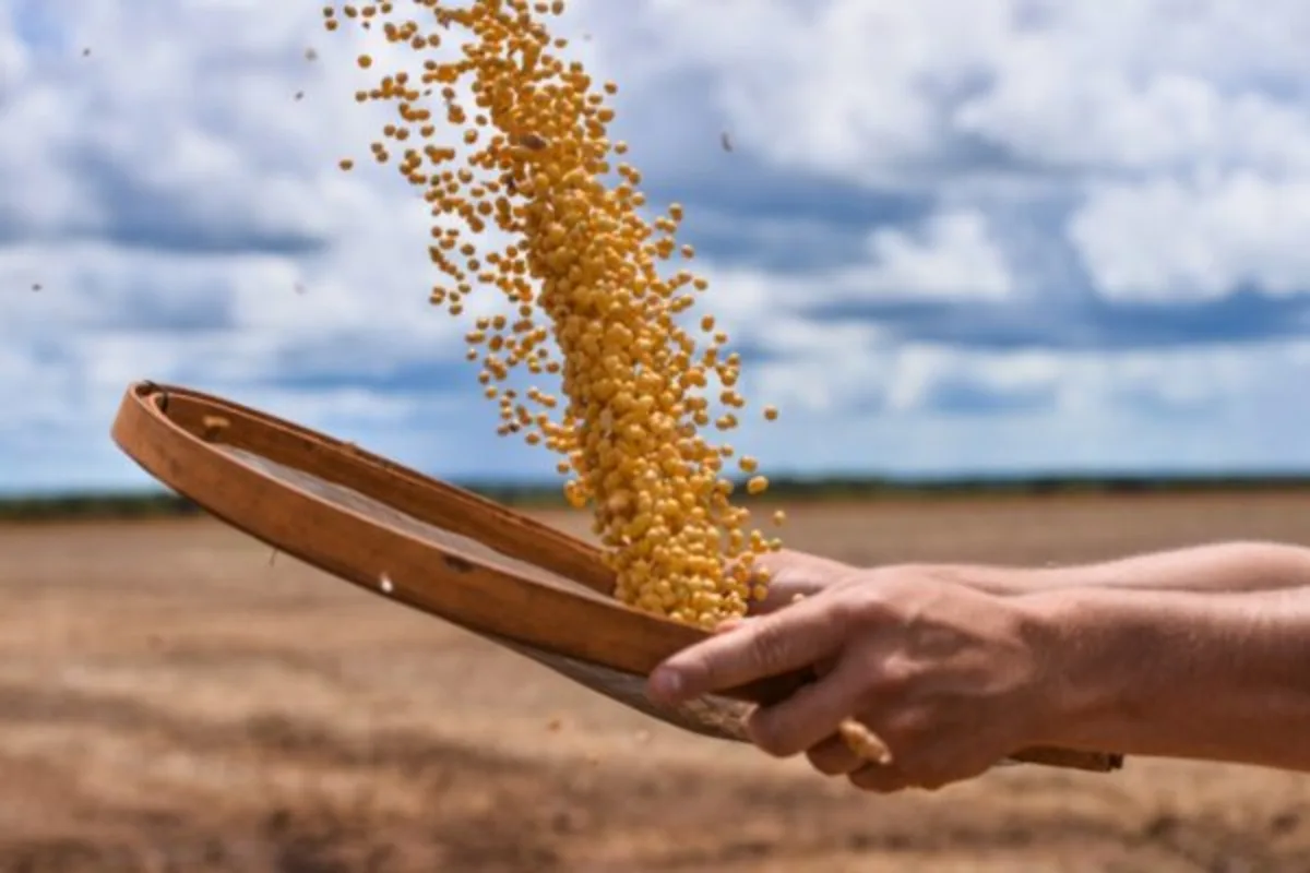 Pedidos de recuperação judicial no agro sobem 21,9% no 1º trimestre