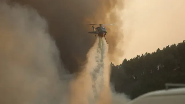 Fogos destruíram pasto, apiários e pinhal em freguesia de Boticas