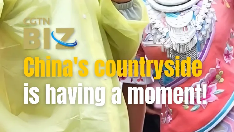 China's countryside is having a moment