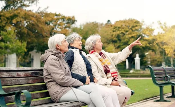 Curiosidad y nueva longevidad: la genealogía de una idea