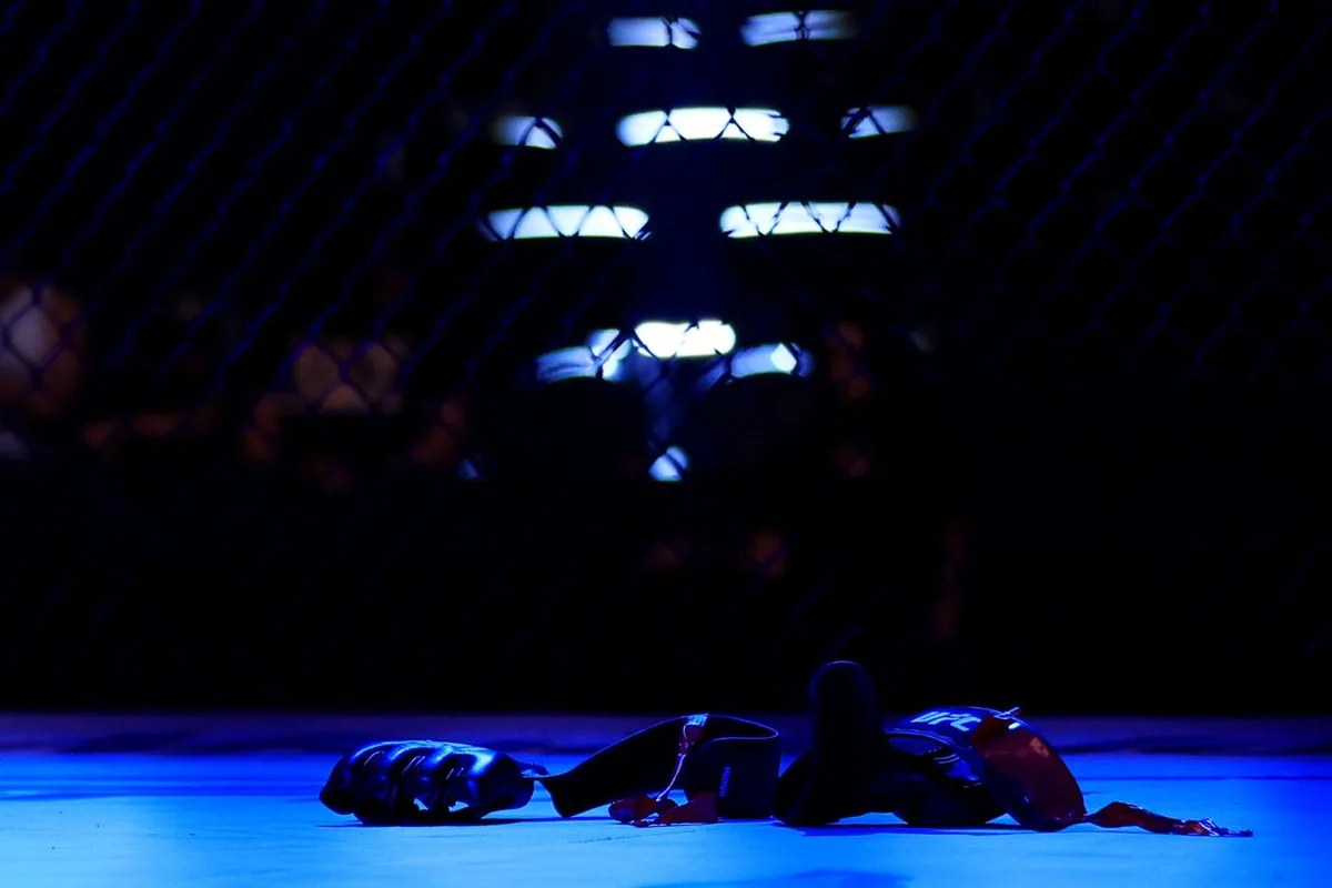Стали известны обладатели бонусов турнира UFC Fight Night 286 в Шанхае