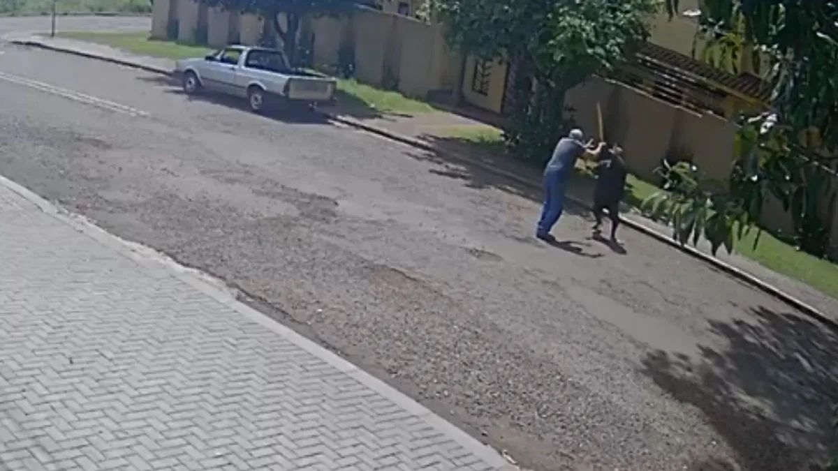 Idoso 'surpreende' criminoso tentando furtar carro no Paraná, corre atrás dele com pedaço de pau e é esfaqueado