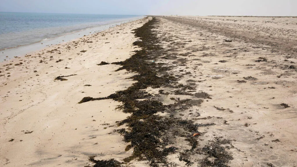 Naufrage au large de Djibouti: au moins 109 migrants morts et 116 autres portés disparus