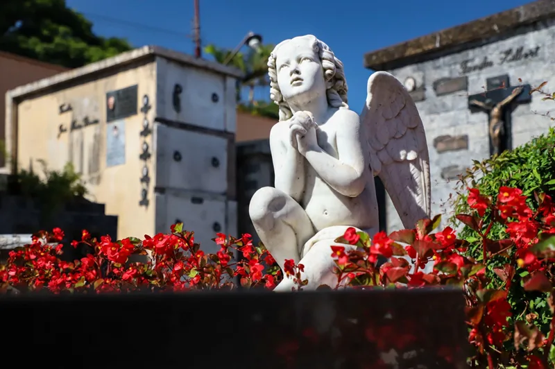 Falecimentos desta sexta-feira, 18 de setembro, em Curitiba