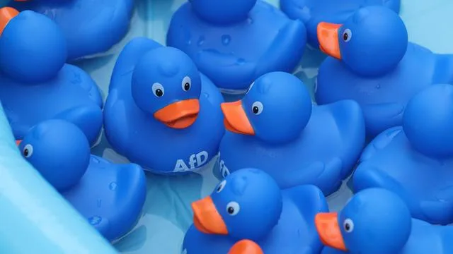 Sachsen-Anhalt: AfD punktet vor Landtagswahl offenbar in allen sozialen Gruppen