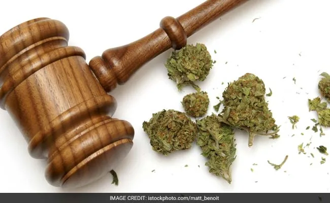 "We Are Very Liberal": Supreme Court On Bail Cases Involving Marijuana