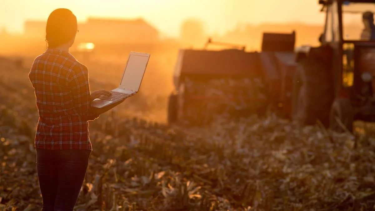 Banco Nación aceleró el crédito al agro: la cartera ya creció más de 55% en el año y alcanzó los $4,5 billones