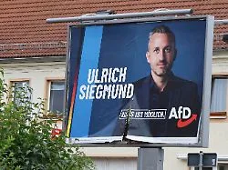AfD-Regierung das Geld kürzen: Grünen-Politiker erntet Kritik für Sanktionsvorschlag