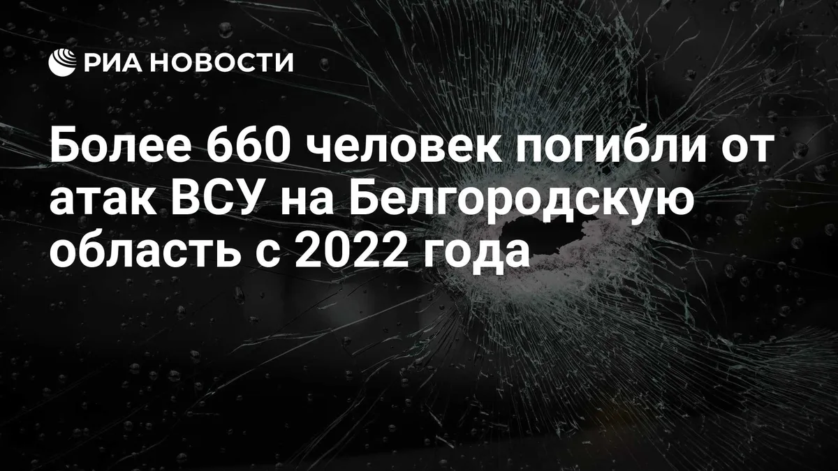 Более 660 человек погибли от атак ВСУ на Белгородскую область с 2022 года