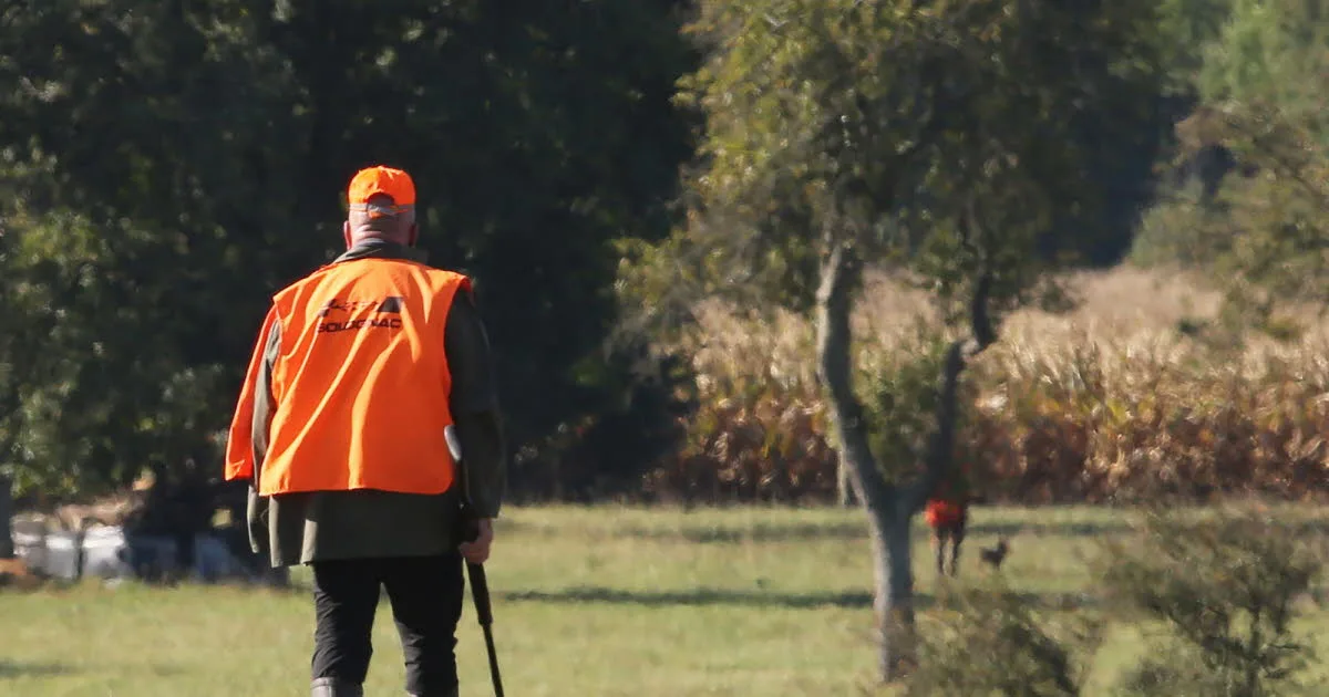 Environnement. Ouverture de la chasse : comment l’été caniculaire ravive le débat avec les écologistes