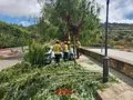 Bombers atiende 129 avisos por las tormentas entre las 17 y 18.30 horas de este lunes