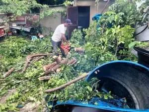 Desprendimiento de techos y caída de árboles por lluvias en Trujillo