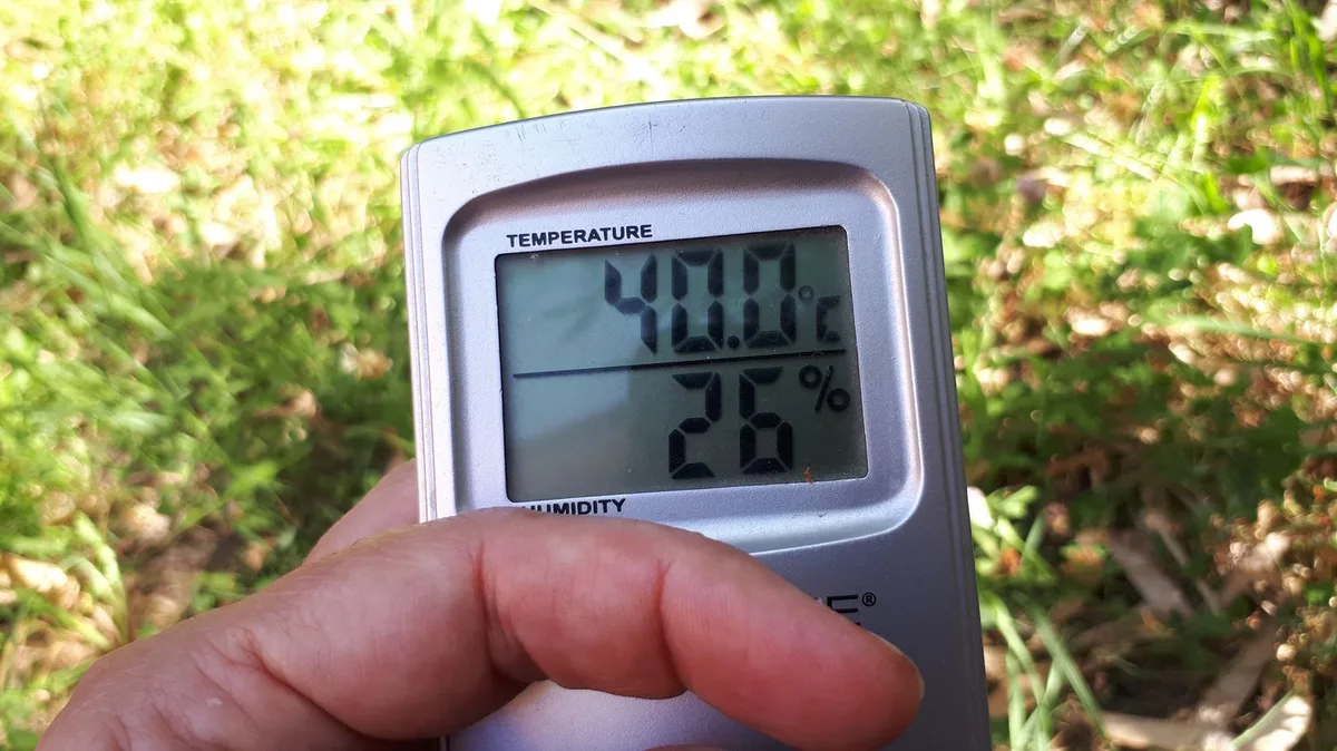 Jeudi a été "l'une des journées les plus chaudes jamais enregistrées en France", selon Météo-France