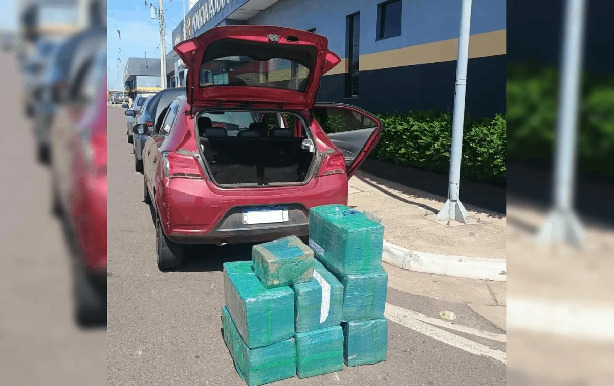 Motorista é preso com mais de 200 kg de maconha na Rodovia Marechal Rondon em Bauru