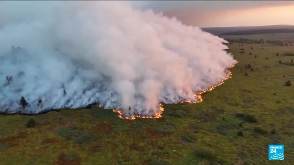 Incendie en Belgique : la progression du feu "limitée", des moyens aériens mobilisés