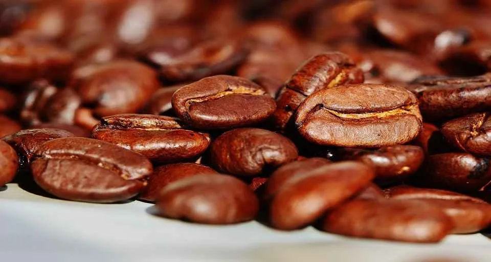 Caficultores de 10 estados exigen a la AN revisar costos y fijar precios de sustentabilidad