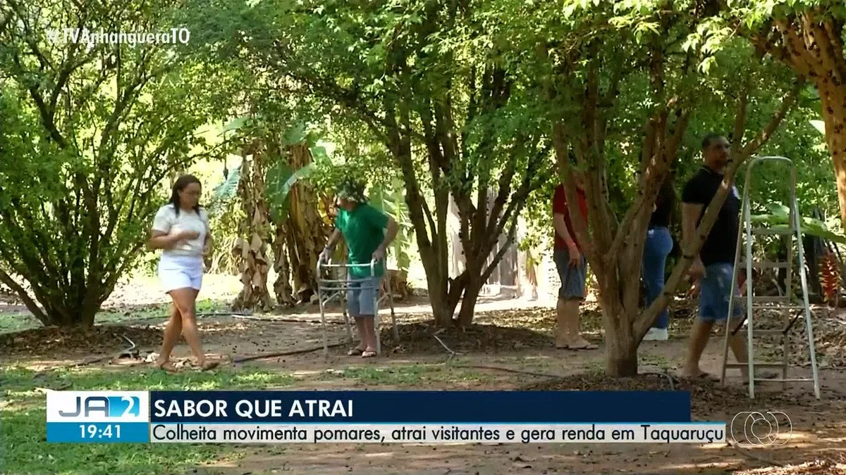 VÍDEOS: Jornal Anhanguera 2ª Edição-TO de sábado, 17 de outubro de 2026