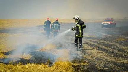 Le feu de forêt dans les Ardennes est désormais "circonscrit", selon la préfecture