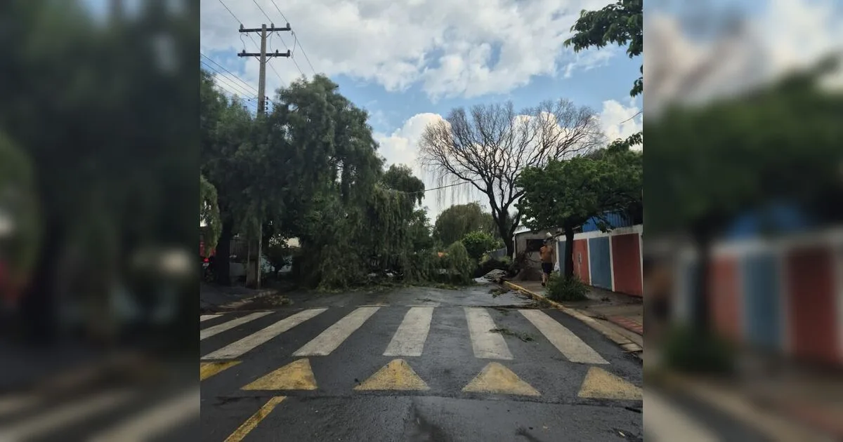 Temporal causa estragos em diferentes pontos de Apucarana; veja fotos