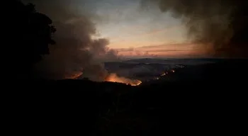 Perigo máximo de incêndio cobre dezenas de concelhos do interior norte e centro