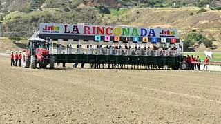 Reunión 33 en La Rinconada: Dos pruebas selectivas miden la fuerza de la nueva generación