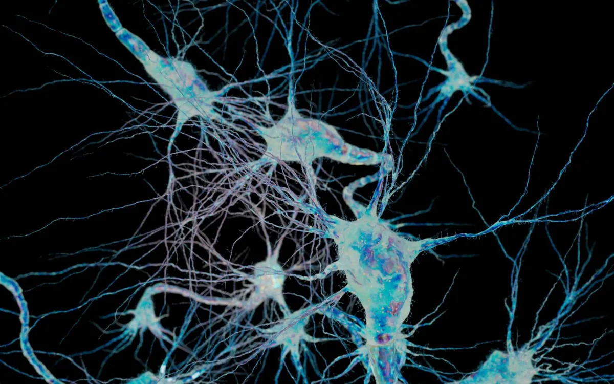 Alzheimer : cette molécule novatrice qui a restauré la mémoire… chez la souris