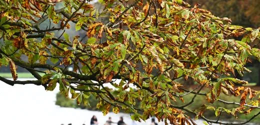 Wetter am Wochenende: Tief »Gabriela« bringt Wind, Regen und Sonne