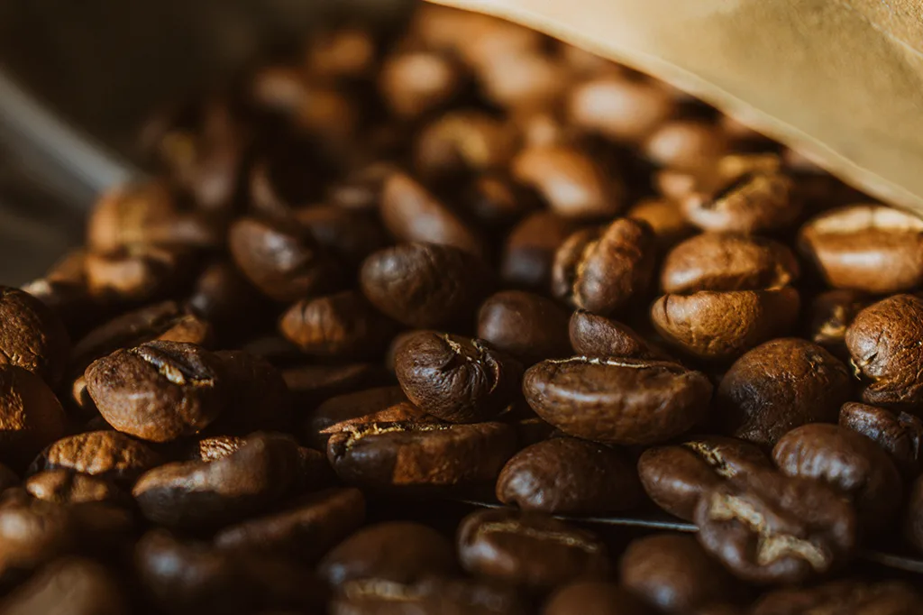 O que vai na sua xícara: um mergulho na composição química dos grãos de café brasileiros