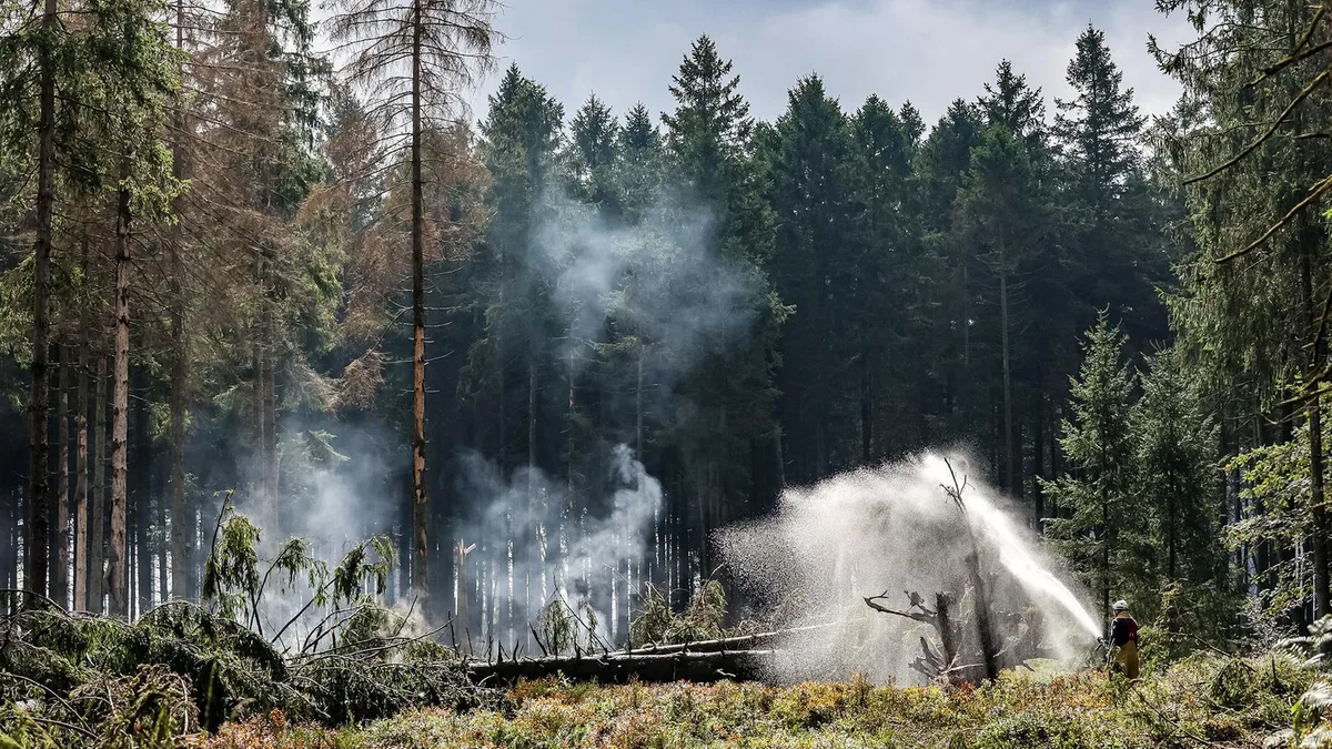 Waldbrand in Belgien nahe der deutschen Grenze unter Kontrolle