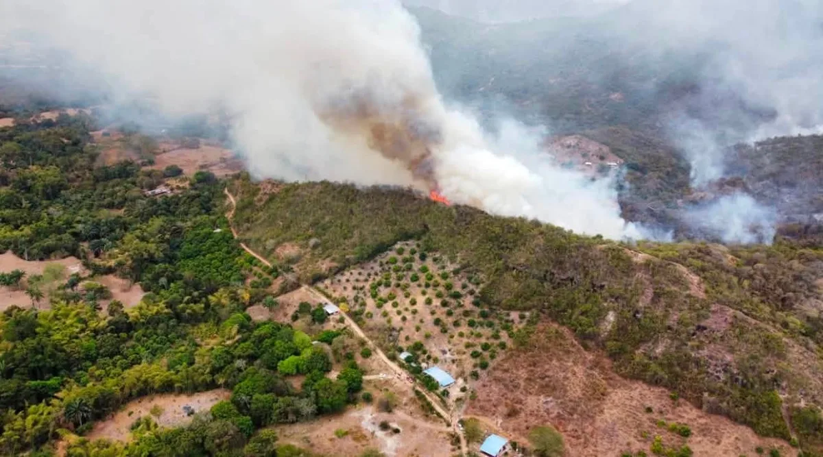 Alcalde de Coello, Tolima, denunció que “manos criminales” estarían reactivando los incendios forestales: “Apagamos uno y nos prenden otro”