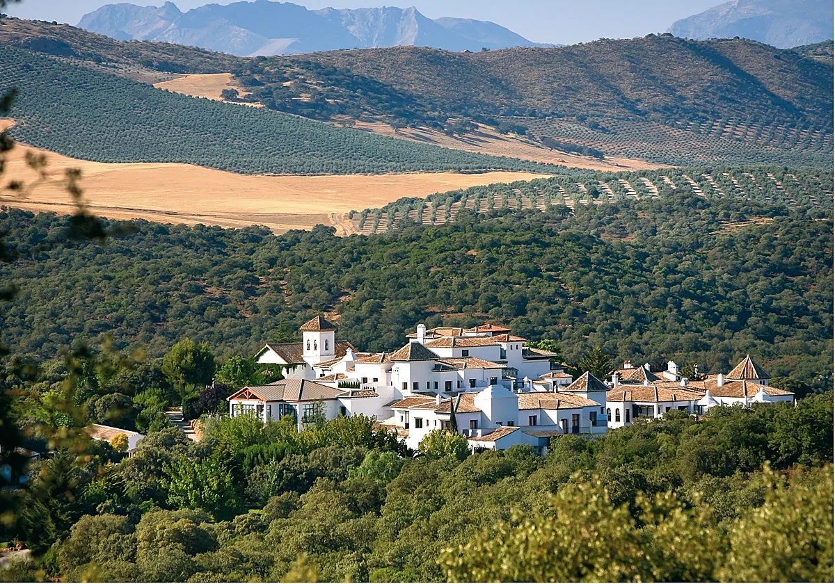 Entre olivos y junto a esturiones: magia y lujo en la Sierra de Loja