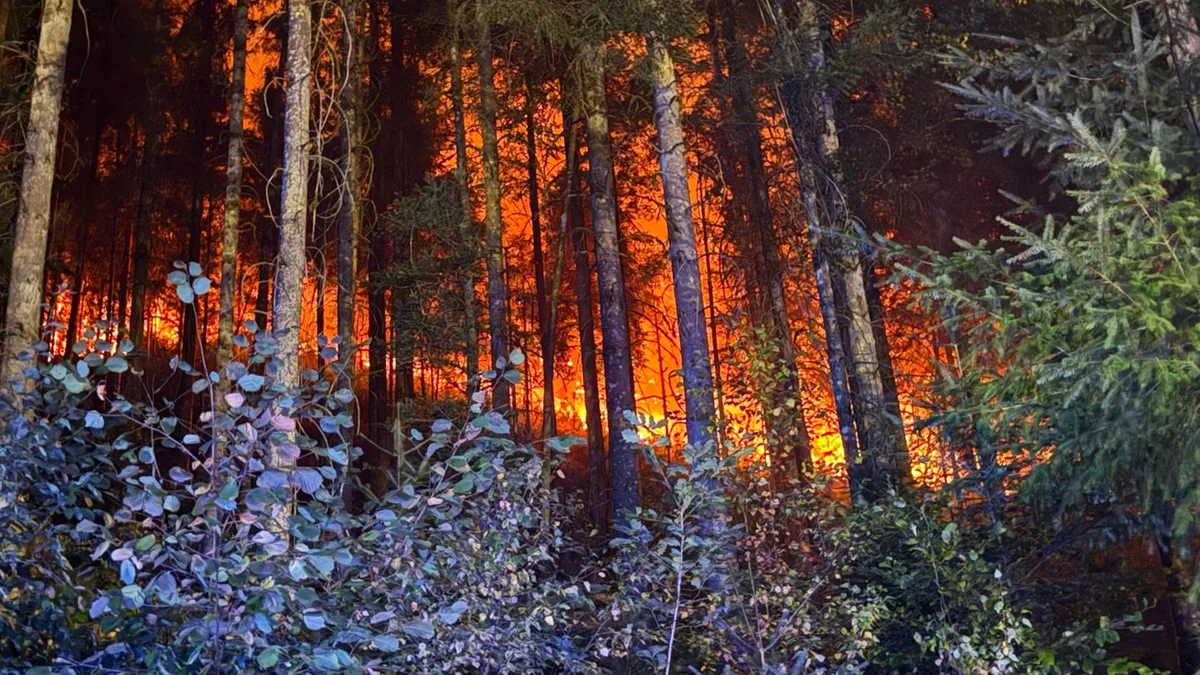 Hunderte Feuerwehrleute: Feuer bei Schramberg unter Kontrolle – Einsatz geht weiter