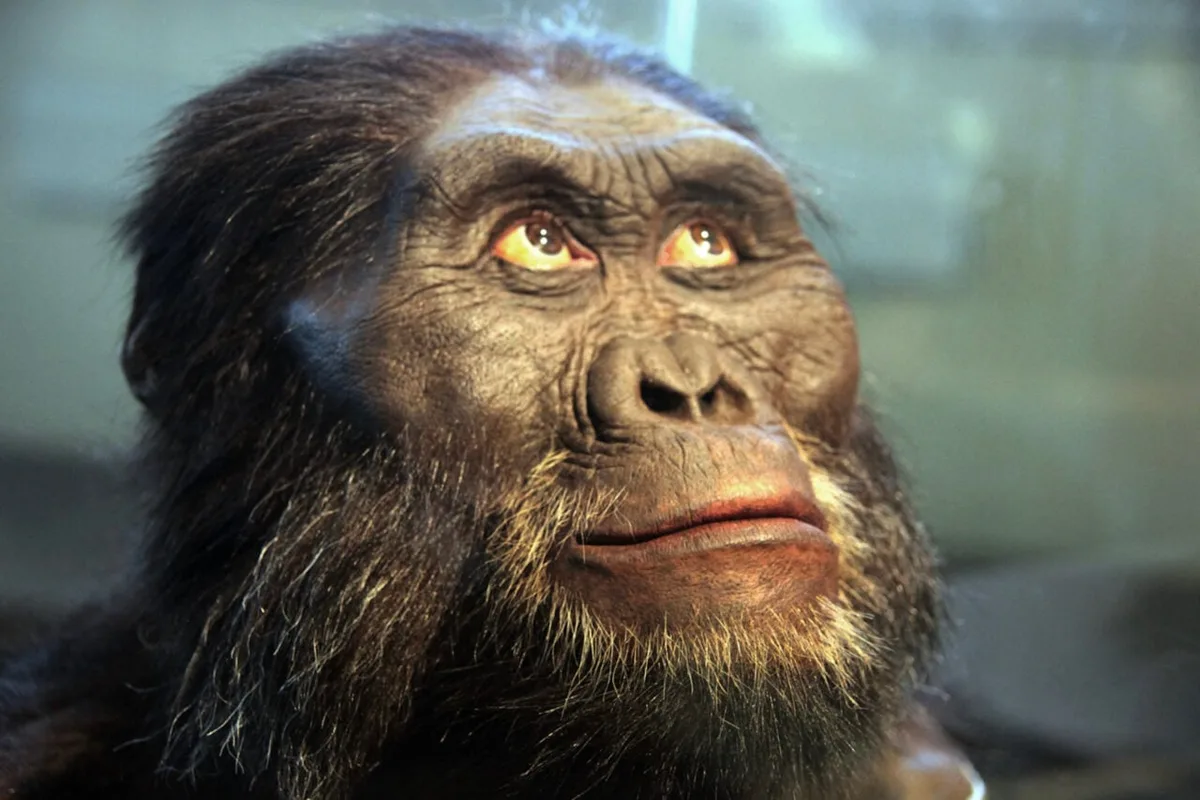 Bigfoot-Like Ancient Apes Might Have Been Closer to Humans Than We Realize