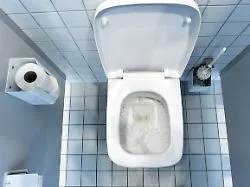 Unsichtbare Wolke über dem WC: Toiletten schleudern beim Spülen Keime bis in Atemhöhe