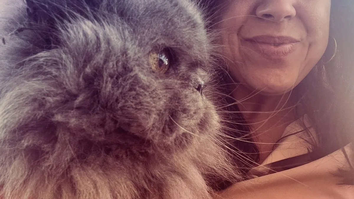 Sousa Real faltou ao quinzenal por doença do gato Mikas