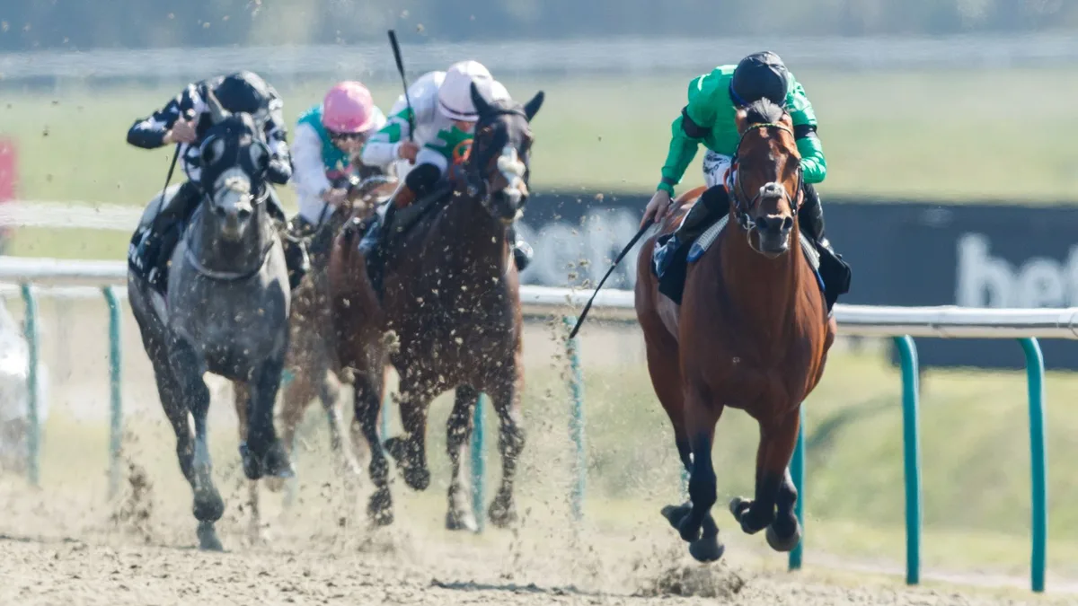 Enoch makes his return at Lingfield Park