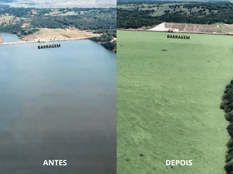 Justiça dá 48 horas para usina retirar macrófitas do Rio Pardo