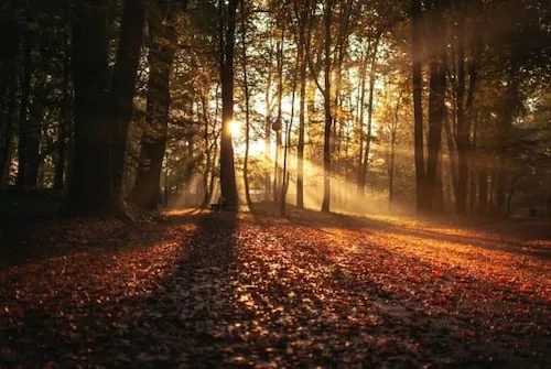 ¿Cuándo entra el otoño en México?; conoce la fecha y hora exacta del equinoccio