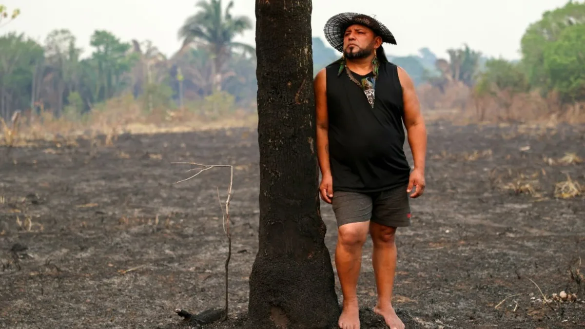 Abholzung in Brasiliens Amazonasgebiet auf niedrigstem Stand seit fast 40 Jahren