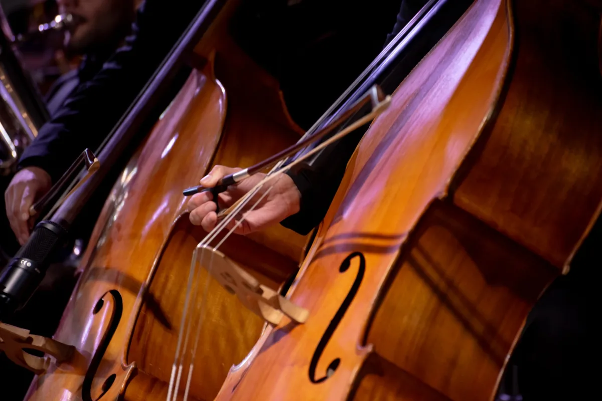 Frio, calor e mudanças bruscas de temperatura podem danificar instrumentos musicais, alertam especialistas