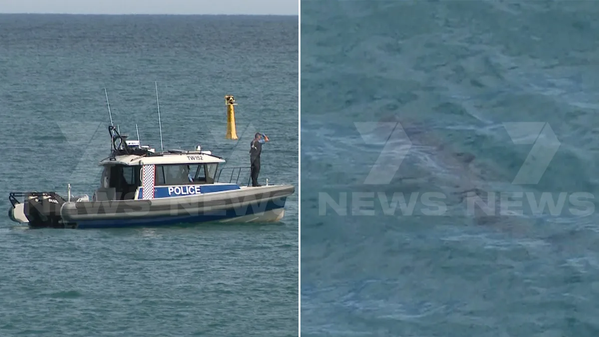 Sorrento Beach shark attack: Man aged in his 60s swimming with a mate when he was mauled by 6m-long beast