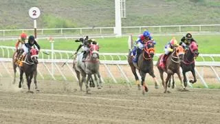 Cómo ajustó la gran opción de Gaceta Hípica está preparada para su gran debut en el 5y6
