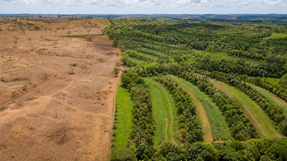 Brasil apresenta meta de restaurar 163 mil km² de terras degradadas até 2030