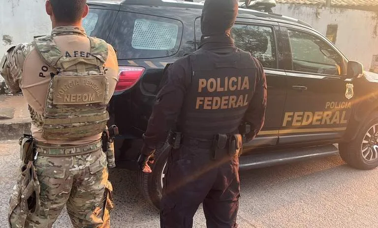 Madeireira é alvo de operação sobre desmatamento ilegal em área da União