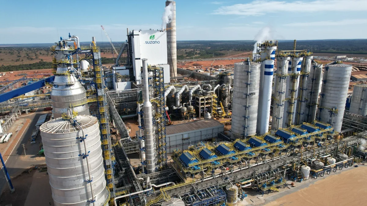 Lucro da Suzano cai 58% no trimestre e MS ganha peso no volume de produção